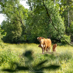 Sentier du Pisé @NataFranceAuvergne-9